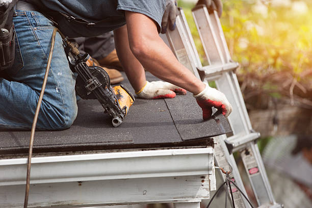 Best Roof Gutter Cleaning  in Bethalto, IL